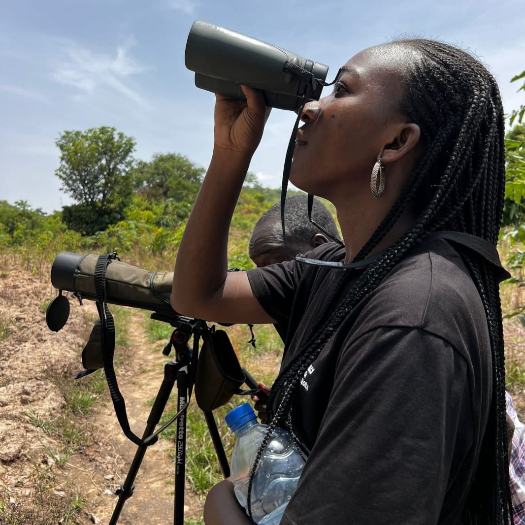 Observation_oiseaux_duo