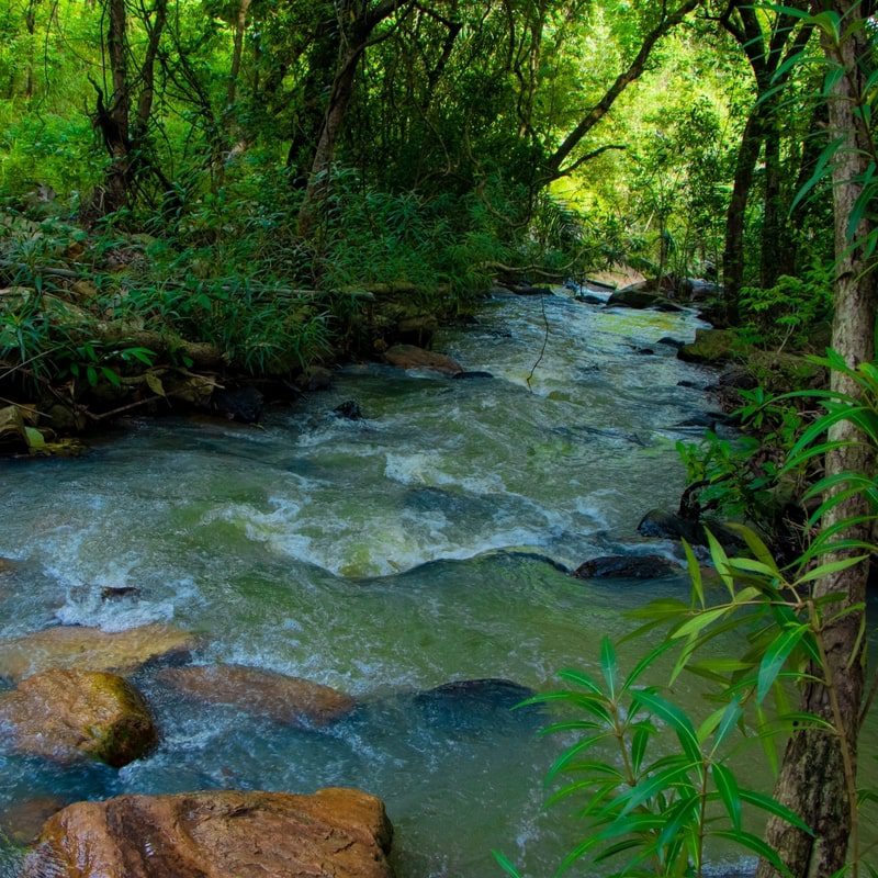 cascade_kota_riviere-min