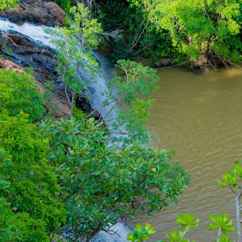 cascade_kota_vue_de_haut-min