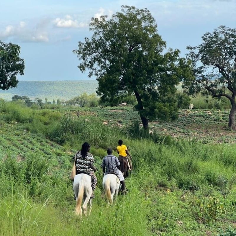 chevaux_aventure