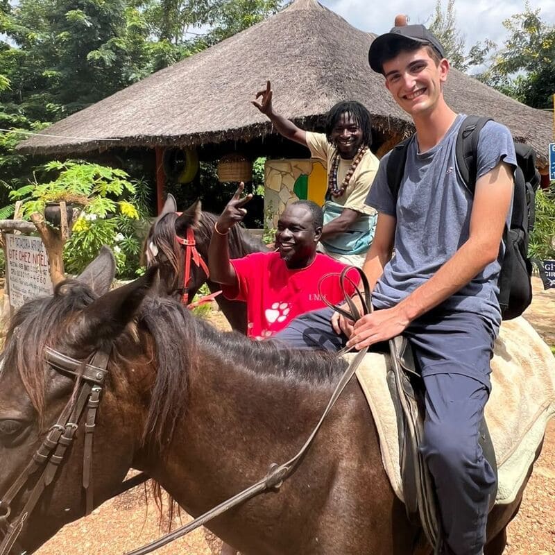 chevaux_gite