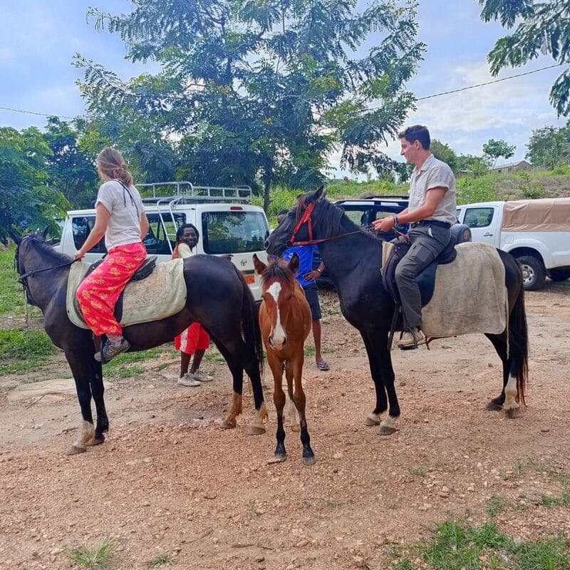 chevaux_parking