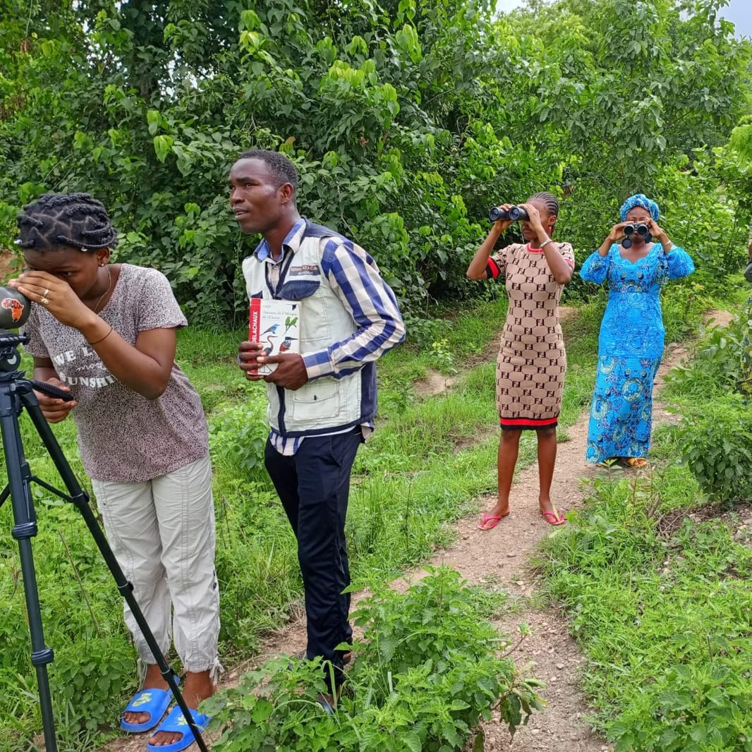 observation_oiseaux_groupe