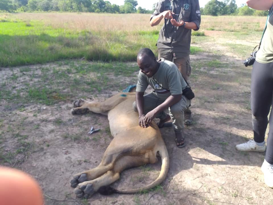protection_animale-min