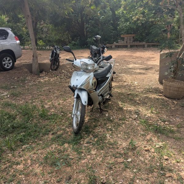 scooter_face-min